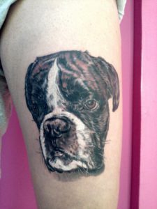 retrato de perro