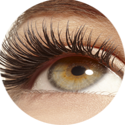Productos para extensiones de pestañas
