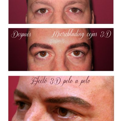 Microblading cejas 3D