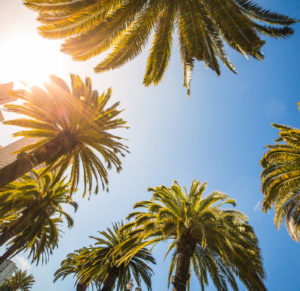 Verano