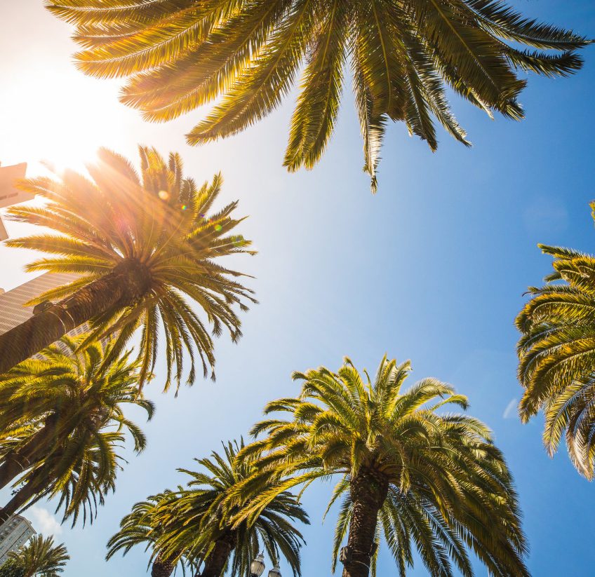 ¡Tatúate en verano también!